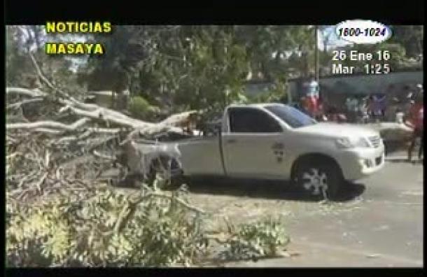 Fuertes vientos derriban árbol lesionando a dos de seis personas en una camioneta
